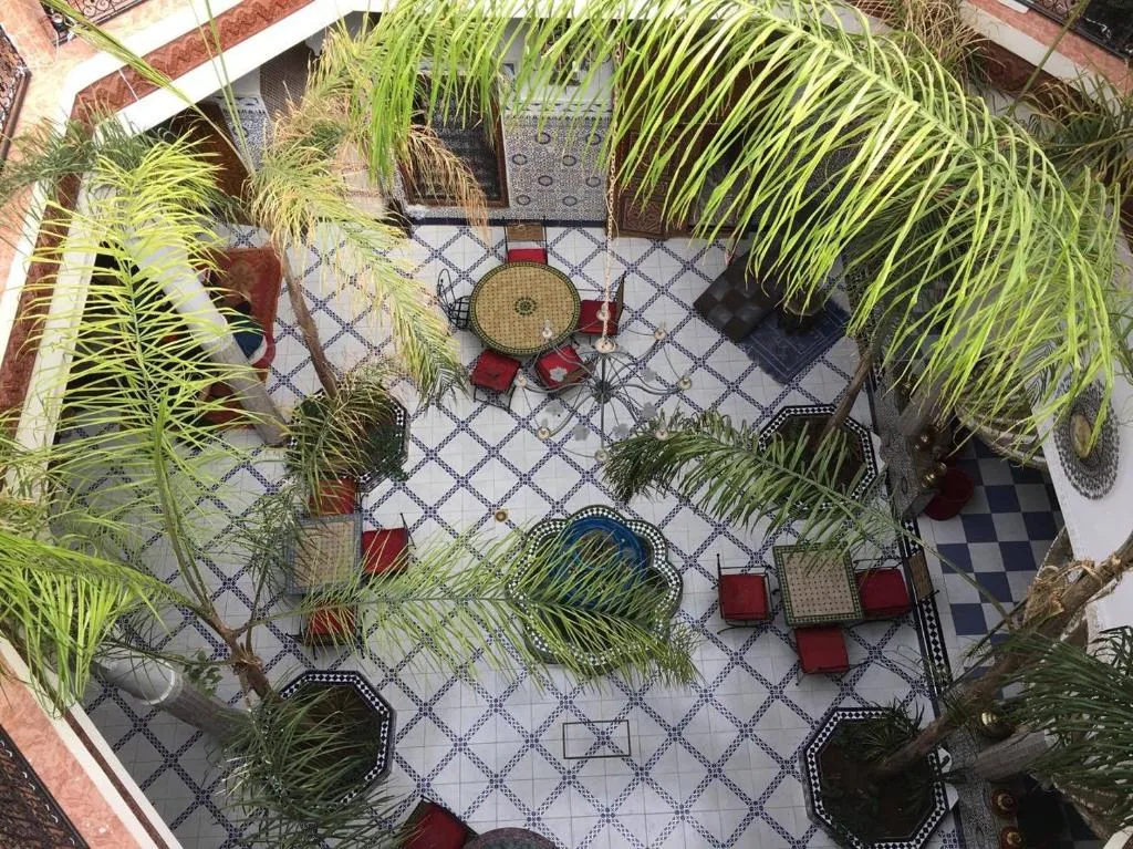 Riad Chennaoui — photo 10