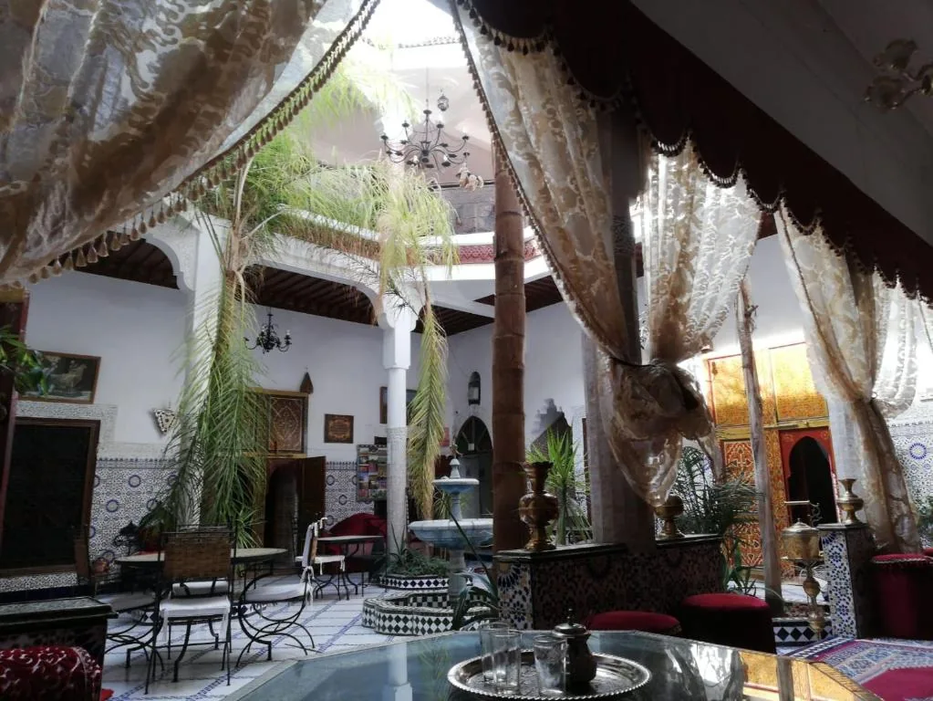 Riad Chennaoui — photo 13