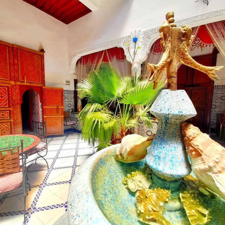Riad Chennaoui — photo 16