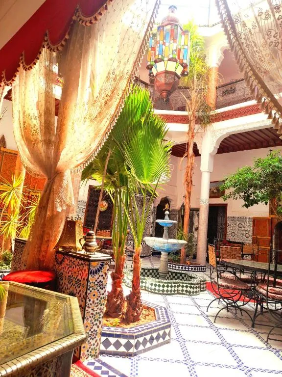 Riad Chennaoui — photo 4